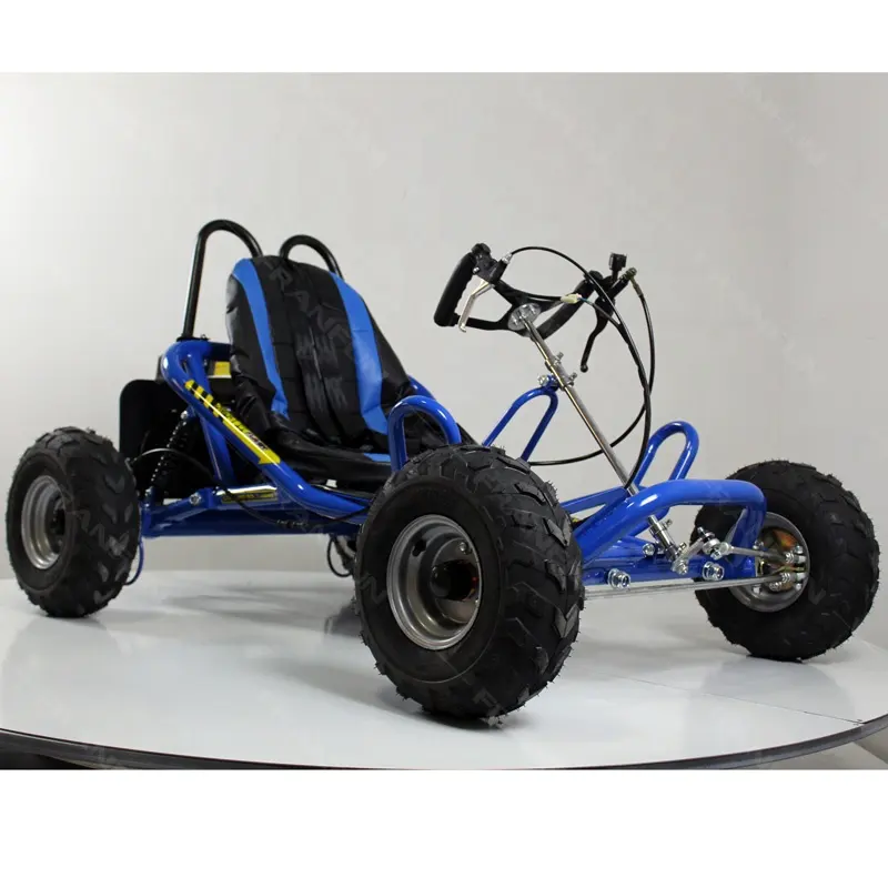 FRANFUN Novo 6.5HP 196CC Go-kart air-cooled 4 tempos 2WD Gramada Divertido karting buggy