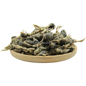 Friandises lyophilisées pour animaux de compagnie, fabrication OEM/ODM, vente en gros d'usine, friandises lyophilisées naturelles, cubes de bœuf, friandises lyophilisées pour chats et chiens - Product Image 1