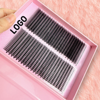 Plateaux d'extensions de cils en gros sous marque privée, finition mate, styles Anime Spire, Narrow, Cashmere préfabriqués, Feathered et Comic Spire