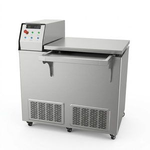Congelatore a Immersione Professionale ad Alta Efficienza -65°C, Congelamento Rapido Senza Ghiaccio, in Acciaio Inox per Frutti di Mare e Carne - Product Image 1