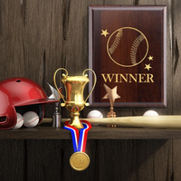 Plaques de trophée en bois poli écologiques gravées personnalisées sur mesure 4 pièces DIY vierges Cadeau