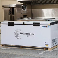 Réfrigérateur de supermarché à double porte 418L, 220V, refroidissement direct, vitrine réfrigérée, congélateur pour fruits de mer et glaces