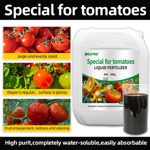 Fertilizante <span class=keywords><strong>foliar</strong></span> especializado para tomates, que promueve la formación de tomates regulares de color rosado - Product Image 2