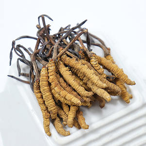 Seluruh harga <span class=keywords><strong>wild</strong></span> Frozen <span class=keywords><strong>cordyceps</strong></span> kering seluruh organik <span class=keywords><strong>cordyceps</strong></span> sinensis <span class=keywords><strong>cordyceps</strong></span> jamur - Product Image 2