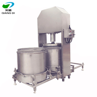 Industriële Hydraulische Oranje Ananas Cactusvijg Watermeloen Druivenwijn Bessen Vruchtensap Persmachine