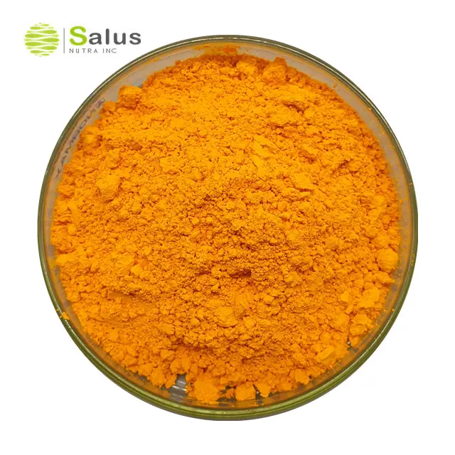 Hot Sale Natural Curcumin Kurkuma-Extrakt