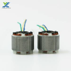 <span class=keywords><strong>Stator</strong></span> Rotor kustom kualitas tinggi untuk aksesori Motor tanpa sikat - Product Image 3