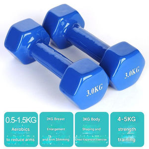 גומי צבעוני + ברזל יצוק סט ספורט משושה יצרני משקולות משושה ציוד ישיר מכירות ציוד ספורט נייד - Product Image 6