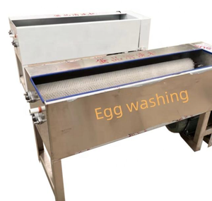 Professional Electric Egg Washing Machine Motor Bearing for Bakery Dairy Products - Product Image 2