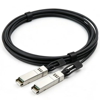 Kabel DAC 25G SFP28 ke 25G SFP28 untuk Koneksi Tembaga Pasif Uplink Server ke Switch Pusat Data 1m 2m 3m 5m