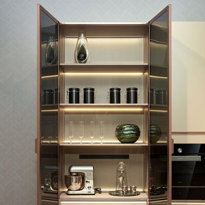 אופיין מבריק גבוהה בצורת u זכוכית זכוכית דלת זכוכית - Product Image 5