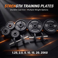 Fournisseur de plaques de poids pour la musculation, disques de poids en fonte pour haltères, pour la musculation commerciale et à domicile