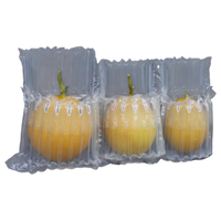 Sac antichoc à colonnes d'air YISHI, sacs de protection gonflables pour ordinateur portable, iPad, MacBook, emballage de protection pour appareils électroniques