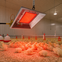 Nouveau chauffage au gaz pour volailles en acier inoxydable GPL/GN pour poulaillers et fermes