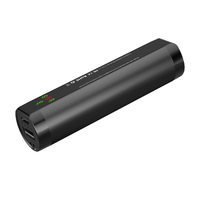 Chauffe-mains magnétique portable avec lampe torche intégrée et batterie externe USB pour l'hiver