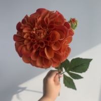 M208 Dahlias de haute qualité à 2 têtes, fleurs artificielles hydratantes pour décoration de mariage et accessoires de photographie, fleurs de dahlias au toucher réel