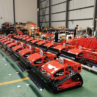 Mesin Pemotong Rumput Crawler Self Propelled All Terrain dengan Lebar Pemotongan 550mm dan Ketinggian yang Dapat Disesuaikan 10-180mm