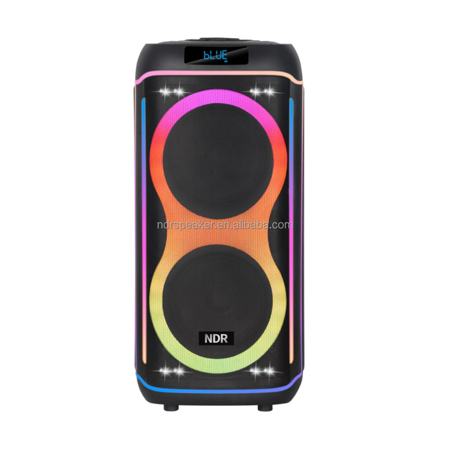 Hot Selling Partybox Portable 2*8" BT Portable Wireless Speaker in Stock&OEM