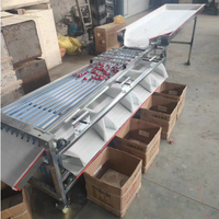 Fruit sorteermachine