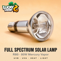 Lampe à vapeur de mercure auto-alimentée R80 80W de haute qualité, UVB/UVA, écologique, en verre transparent, pour reptiles, Premium Pet