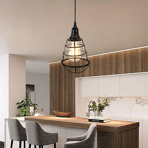 Modern basit çin demir kuş kafesi avize uzun ayarlanabilir yükseklik sıcak beyaz LED koridor Cafe Bar bireysel yaratıcı - Product Image 5
