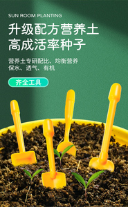 Stelo che coltiva il labirinto di piante giocattolo fai da te che piantano la stazione meteorologica della stanza del sole sperimenta esperimenti scientifici - Product Image 6