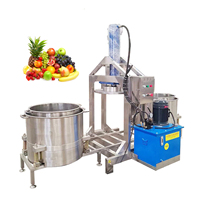 VBJX Commerciële Elektrische Hydraulische Koude Pers voor Citrusvruchten, Gember, Bladgroenten & Fruit Sapcentrifuge Extractor Machine