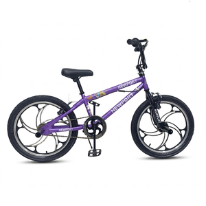 Vélo <span class=keywords><strong>BMX</strong></span> <span class=keywords><strong>Freestyle</strong></span> Sportif Personnalisé 20 Pouces Violet Pas Cher en Gros Directement de l'Usine Vélo <span class=keywords><strong>BMX</strong></span> Adulte - Product Image 1