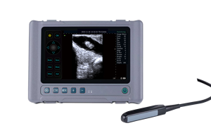 Appareil d'échographie vétérinaire DMSU31 de haute qualité et très vendu, avec écran tactile de 8 pouces, pour usage vétérinaire, à vendre - Product Image 2