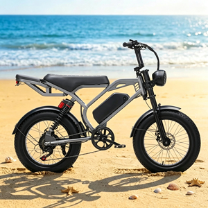Bicicleta Eléctrica Todoterreno <span class=keywords><strong>GREENSKY</strong></span> GS-01 de 20 Pulgadas con Llantas Gruesas, 1000W, para Adultos, Venta al Por Mayor - Product Image 3