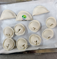 Machine à raviolis électrique automatique multifonctionnelle pour restaurant, capacité de 20 000 pièces par heure, avec presse à pâte intégrée pour samosas et raviolis
