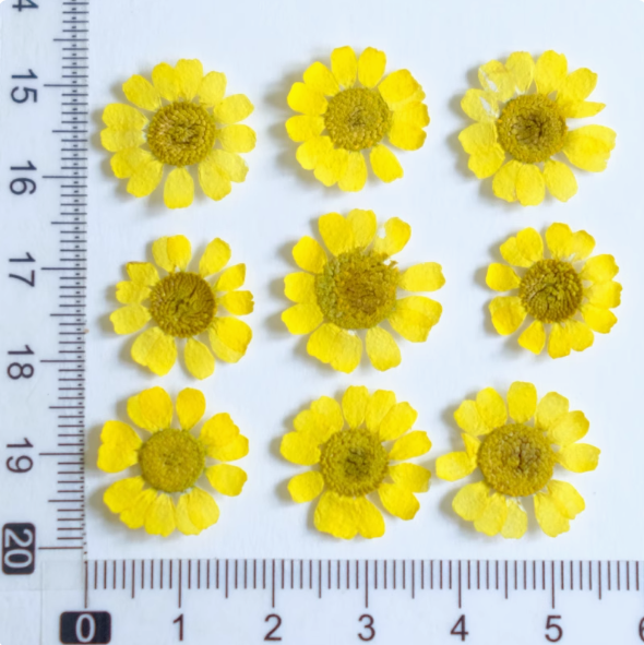 Yellow-12pcs de lumière MH657-Dyed