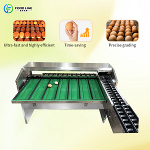 Meilleure machine automatique d'emballage de douzaines d'œufs de poule avec emballageur et trieuse - Product Image 5
