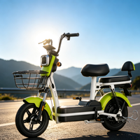 Vélo électrique adulte à double siège avec panier avant, fourni par l'usine, vélo électrique à 2 roues économique pour les trajets quotidiens