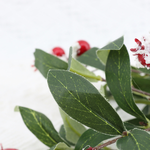 Nhà Máy Bán Buôn Nhân Tạo Bạch Đàn Lá Berry Chi Nhánh Cho Nhà Và Ngoài Trời Vườn Trang Trí - Product Image 5