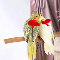 Harnais et laisse réglable pour oiseaux d'entraînement Laisse de harnais pour oiseaux perroquet Corde en nylon avec aile mignonne pour perroquets Laisse de harnais pour oiseaux