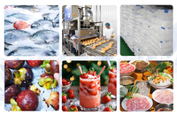 Machine à glace en flocons industrielle de 5 tonnes, refroidie par air, pour la conservation des fruits de mer et le stockage frigorifique