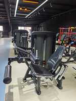 Machine à flexions de cuisses assises, conception à charge par poulie, entraînement des ischio-jambiers, cadre robuste, idéale pour l'entraînement de la force des jambes en salle de sport