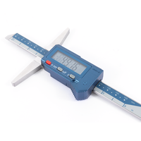 Dasqua Acier inoxydable 0-150mm IP54 Jauge de profondeur numérique 0-200mm Pied à coulisse numérique 0-300mm Calibrador De Profundidad