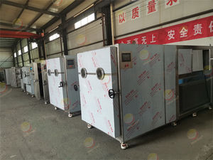 Lyophilisateur à congélation sous vide avec PLC intégré pour la conservation des aliments, des fruits, des légumes et des fruits de mer - Product Image 6