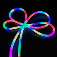2025 nouvelle bande de lumières de corde flexible au néon numérique RGBic avec télécommande de l'application Wifi néons tressés