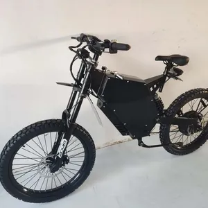 2024ベストセラー電動シティバイク自転車15KW電動バイク電動シティバイク (Ebike変換キット付き) ヨーロッパ市場向け