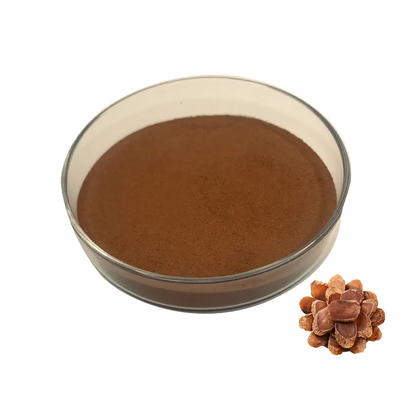 Supply red panax ginseng extract powder High quality red panax ginseng root extract