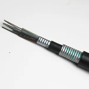 Gyfts53 GYTS53 Stranded Loose Tube Non-metallic Underground Duct Anti-rodent Corrugated Steel Tape Fiber Optic Cable