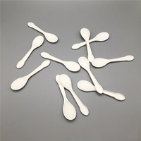 Mini cuillère écologique CPLA personnalisée cuillère à crème glacée jetable emballée individuellement
