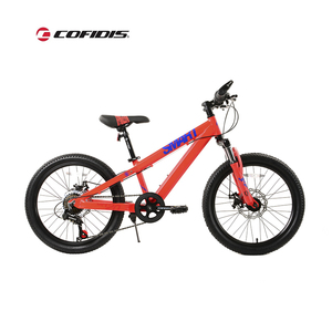 Vélo <span class=keywords><strong>pour</strong></span> enfants en aluminium de 12/16/20/24 pouces, vélo <span class=keywords><strong>pour</strong></span> enfants de 2/<span class=keywords><strong>10</strong></span> ans, grand vélo <span class=keywords><strong>pour</strong></span> bébé, vélo <span class=keywords><strong>pour</strong></span> enfants - Product Image 2