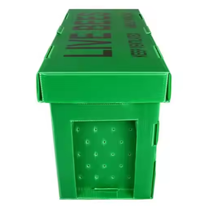 Grosir 5 bingkai kotak Nuc ratu lebah Mini kawin inti sarang lebah kotak lebah bergelombang - Product Image 1