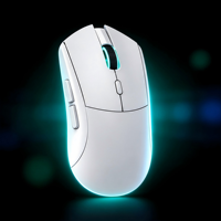 Souris sans fil RGB rechargeable, souris de jeu sans fil pour ordinateur portable PC