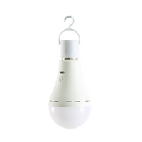 Ampoule LED 3.7V rechargeable par USB, en forme de spirale, à intensité variable, avec télécommande, pour marché nocturne, camping, pêche, extérieur