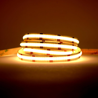 Bande lumineuse LED à double température de couleur 2700K-6500K 12V/24V, gradation progressive, 612 LED, 640 LED, CRI90, IP20, certifiée CE, pour intérieur